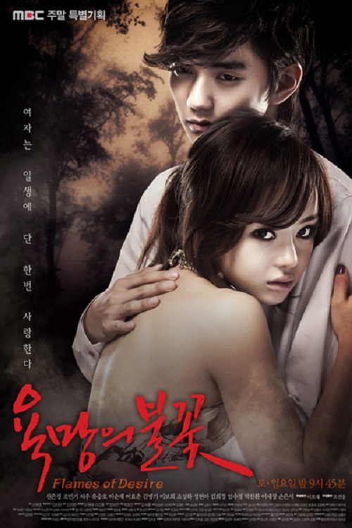 Постер сериала 욕망의 불꽃