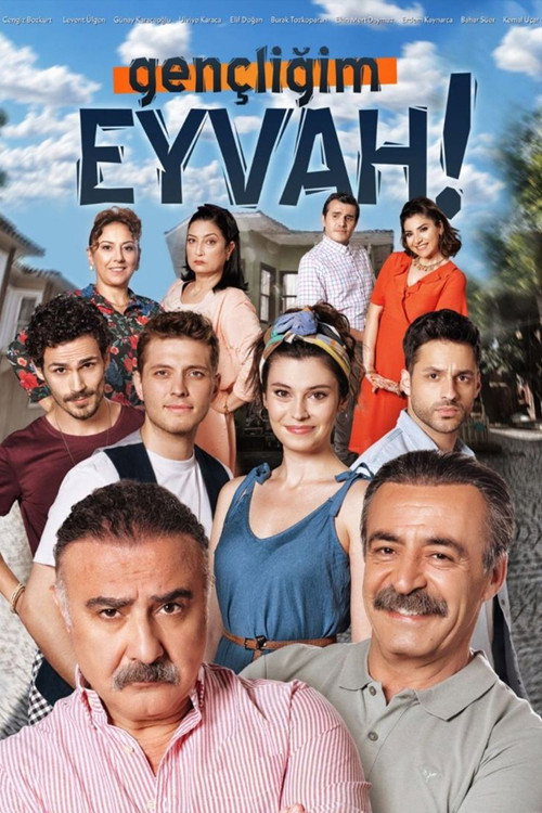 Постер сериала Моя молодость