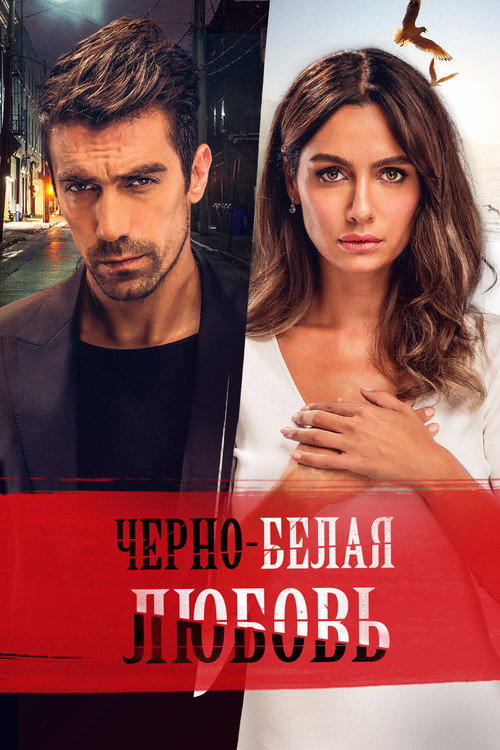 Чёрно-белая любовь