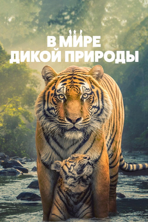 Постер сериала В мире дикой природы