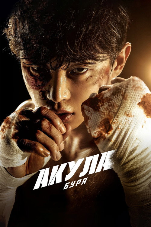 Постер сериала Акула: Буря