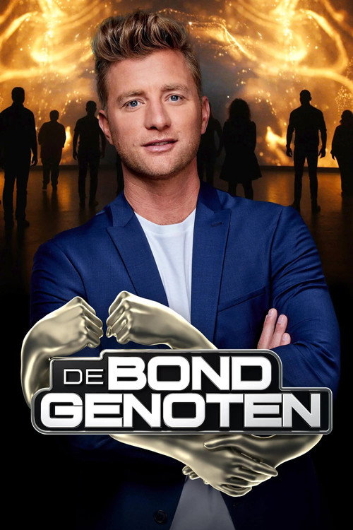 Постер сериала De Bondgenoten