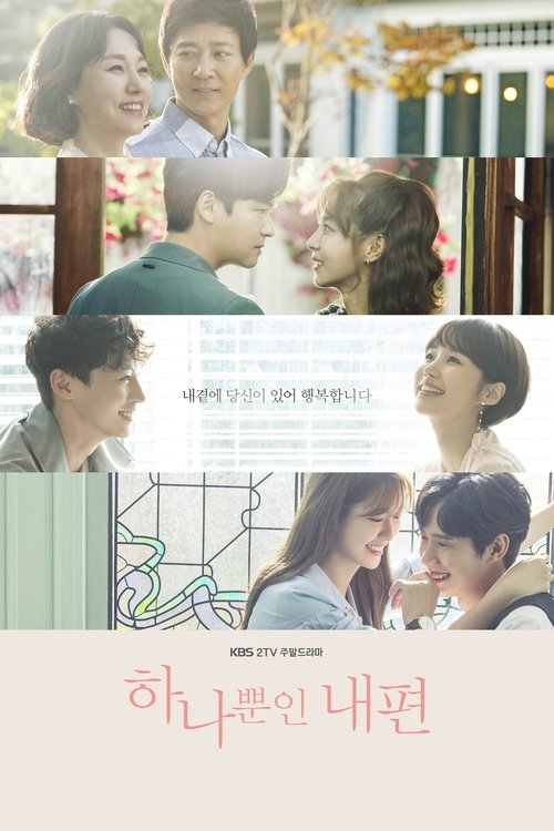Постер сериала 하나뿐인 내편