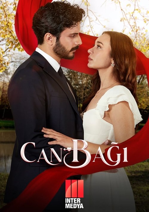 Постер сериала Струны души