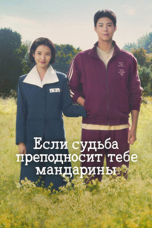 Постер сериала Если судьба преподносит тебе мандарины