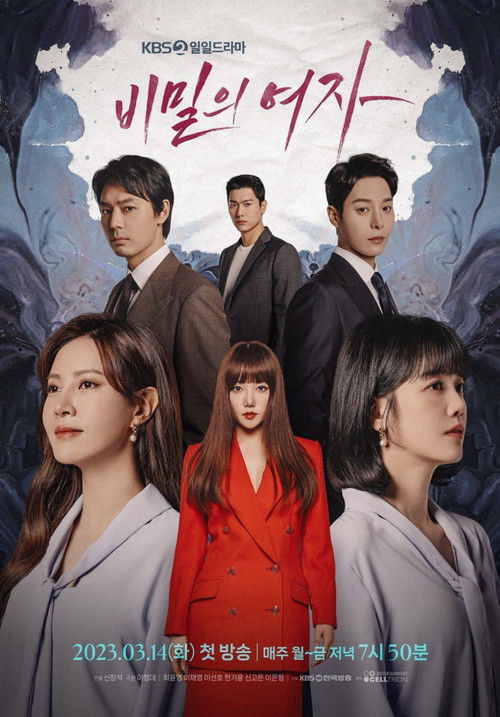 Постер сериала 비밀의 여자