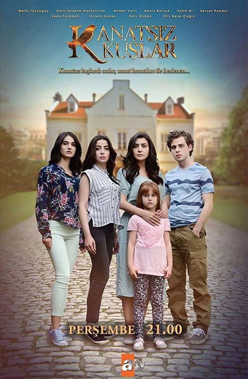 Постер сериала Птицы без крыльев