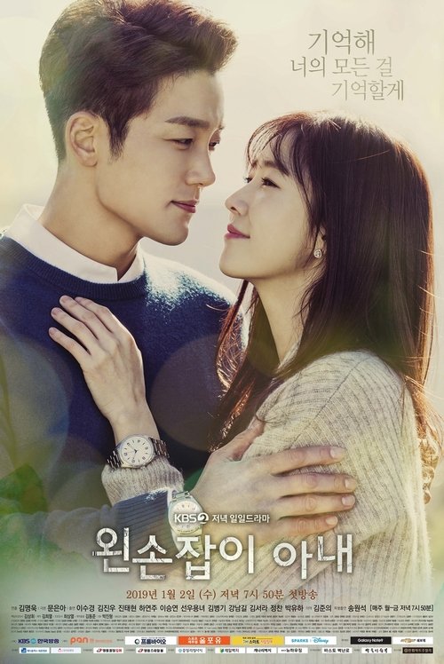 Постер сериала 왼손잡이 아내