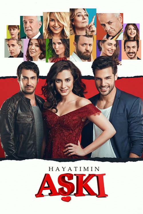 Постер сериала Любовь всей жизни