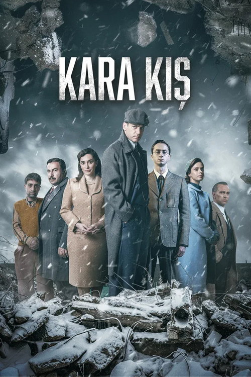 Постер сериала Черная зима