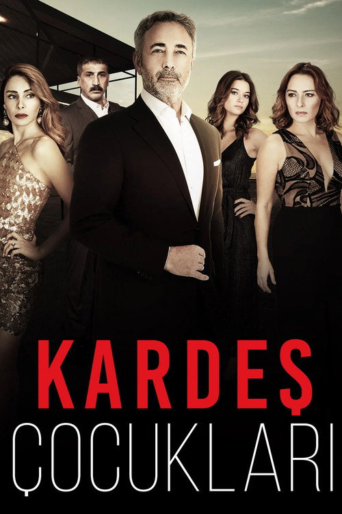 Постер сериала Kardeş Çocukları