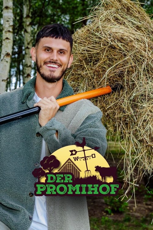 Постер сериала Der Promihof
