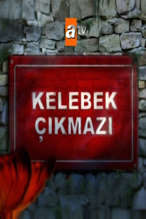 Постер сериала Kelebek Çıkmazı