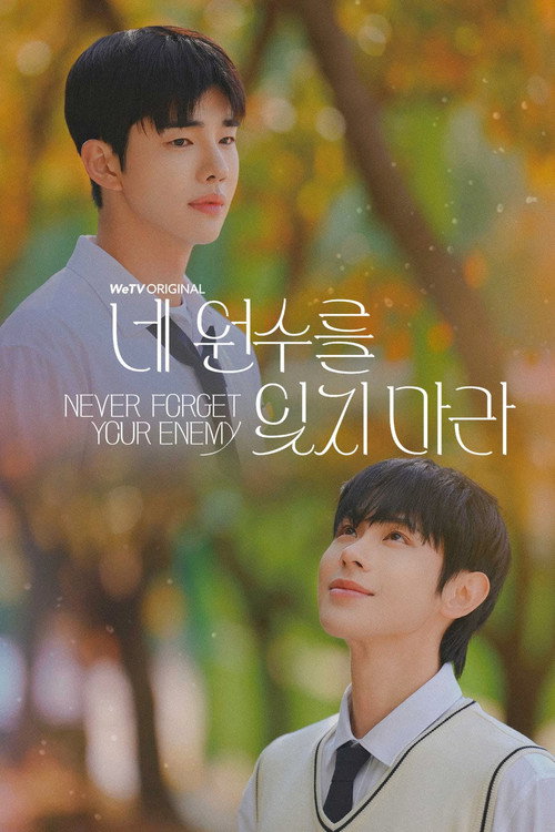 Постер сериала 네 원수를 잊지 마라