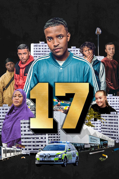 Постер сериала 17