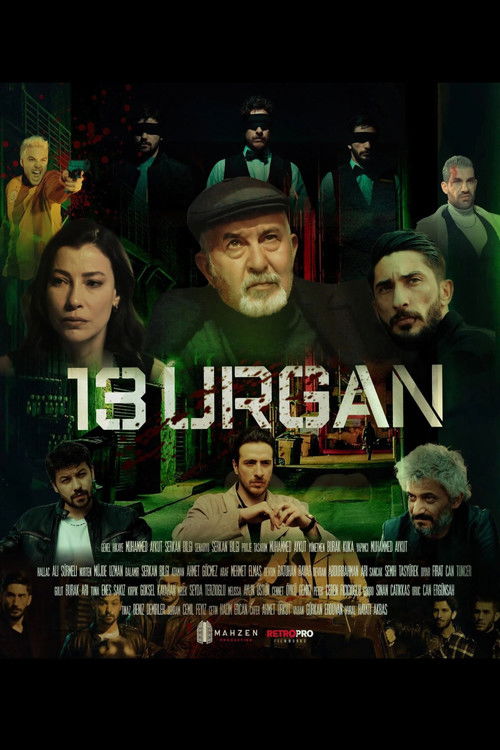 Постер сериала 13 Urgan