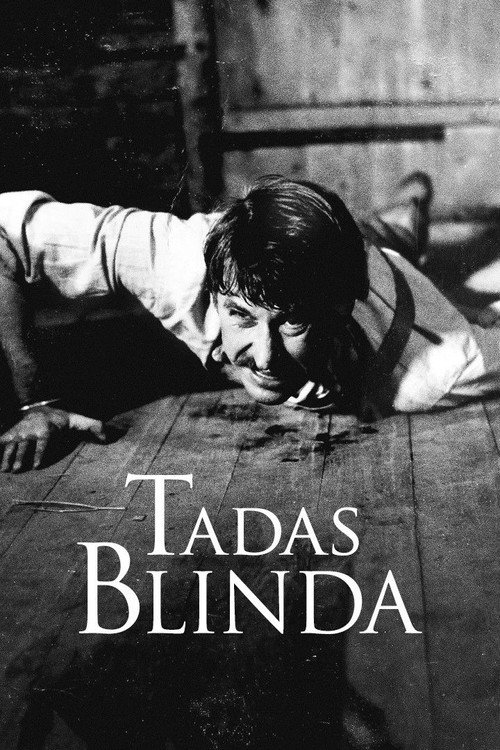 Постер сериала Tadas Blinda