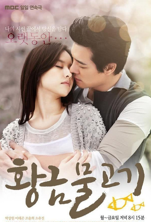Постер сериала 황금물고기