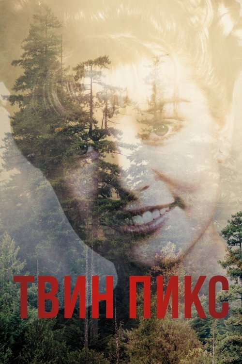 Постер сериала Твин Пикс