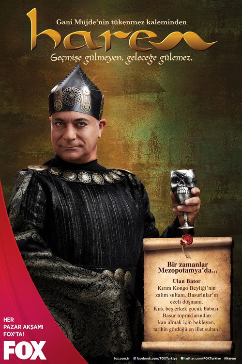 Постер сериала Гарем