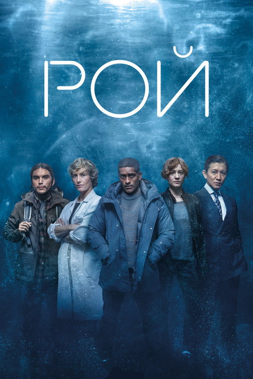 Постер сериала Рой