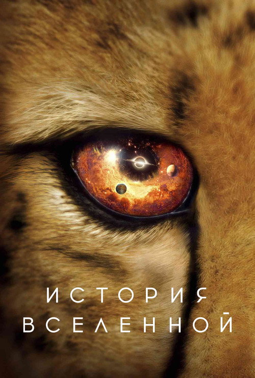 Постер сериала История Вселенной