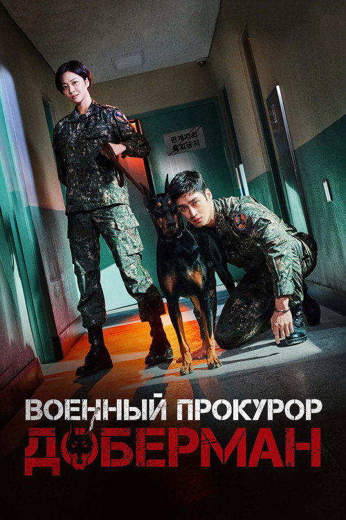 Постер сериала Военный прокурор Доберман
