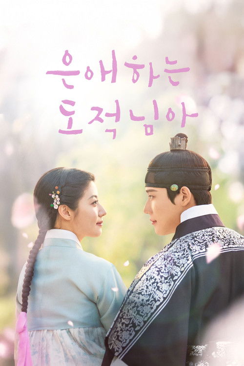 Постер сериала 은애하는 도적님아