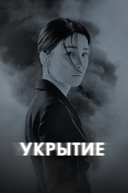 Постер сериала Укрытие