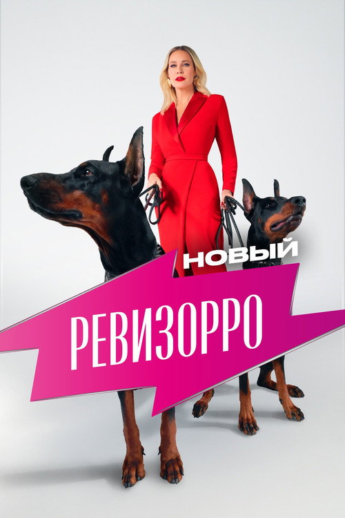 Постер сериала Новый ревизорро